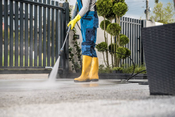 Animal Enclosure Cleaning in Brookshire, TX